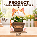 Yavorela™ Sunny Cat Blossom Planter